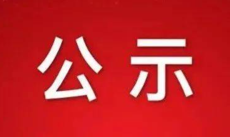 关于我司申报2025年度浙江省科学技术奖(科学技术进步奖)的公示